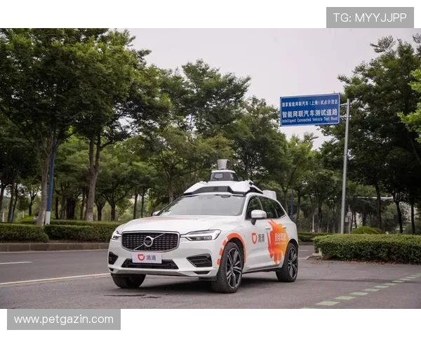 欧博官网代理登录常见问题及解决方案,确保顺畅使用体验 欧博官网代理登录常见问题及解决方案,确保顺畅使用体验