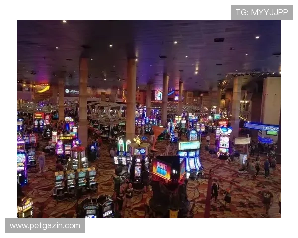 洛杉矶赌场的最新娱乐项目介绍与玩法攻略 洛杉矶赌场的最新娱乐项目介绍与玩法攻略