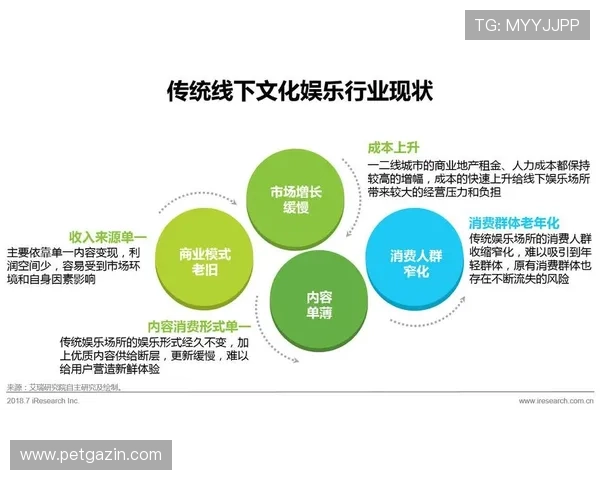 金牌娱乐场：打造安全可靠的线上线下娱乐综合平台，满足多样化需求