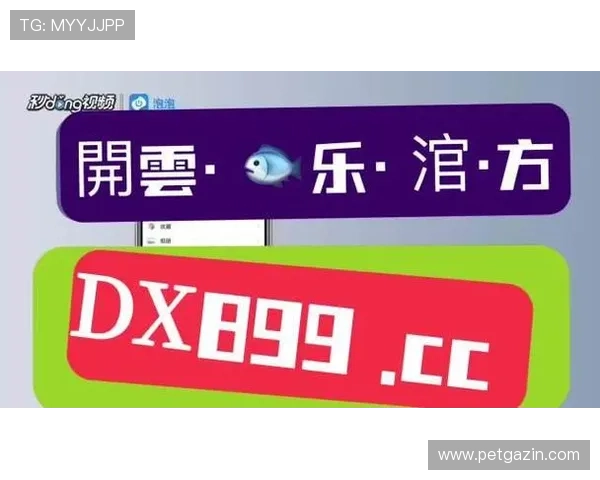 在AG真人集团官网注册流程详解,帮助新手玩家快速上手享受高品质的真人娱乐体验 在AG真人集团官网注册流程详解,帮助新手玩家快速上手享受高品质的真人娱乐体验
