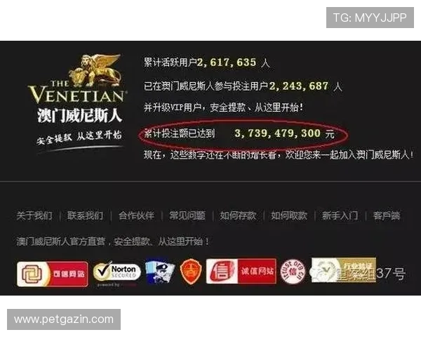 新葡京娱乐网娱乐优惠活动攻略,助你轻松获取更多游戏福利与奖励 新葡京娱乐网娱乐优惠活动攻略,助你轻松获取更多游戏福利与奖励