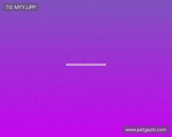 挪威队与塞内加尔队教练赛前战术布置对比及比赛关键战术解析