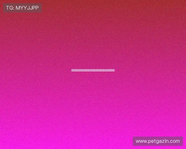 亚星网整合丰富的游戏资源与社区交流平台打造一站式娱乐体验