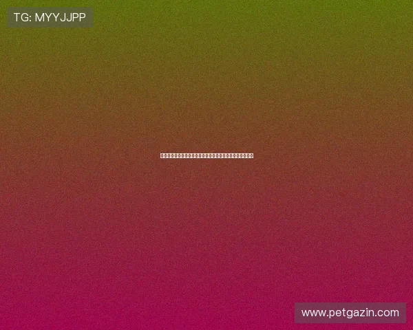 欧博真人直播世界杯赛事在线观看地址及其高清流畅观看技巧 欧博真人直播世界杯赛事在线观看地址及其高清流畅观看技巧