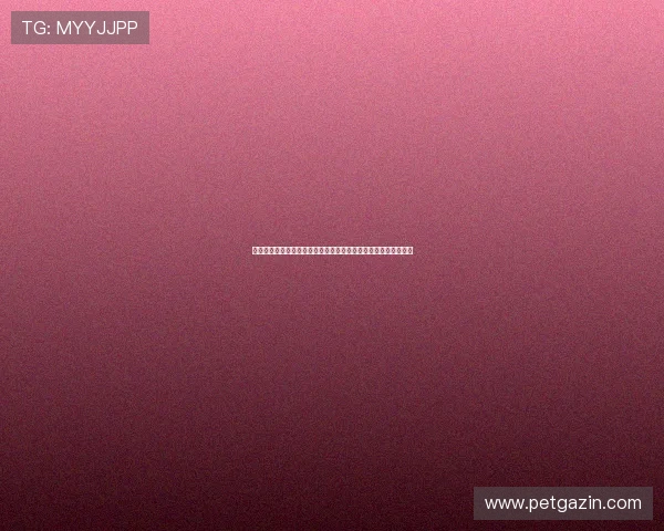 银河娱乐地址:世界杯热点赛事分析与银河娱乐平台安全登录指南 银河娱乐地址:世界杯热点赛事分析与银河娱乐平台安全登录指南