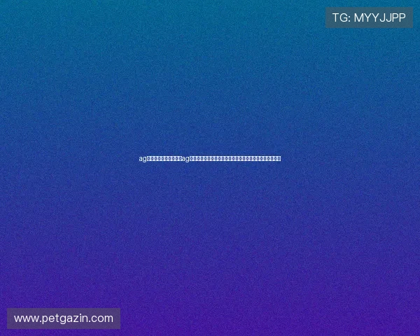 ag真人网登录入口:通过ag真人网登录入口获取世界杯赛事直播、赛程安排与精彩瞬间 ag真人网登录入口:通过ag真人网登录入口获取世界杯赛事直播、赛程安排与精彩瞬间