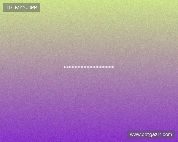 BG视讯世界杯直播优势解析：稳定流畅的观看体验与丰富的赛事内容推荐