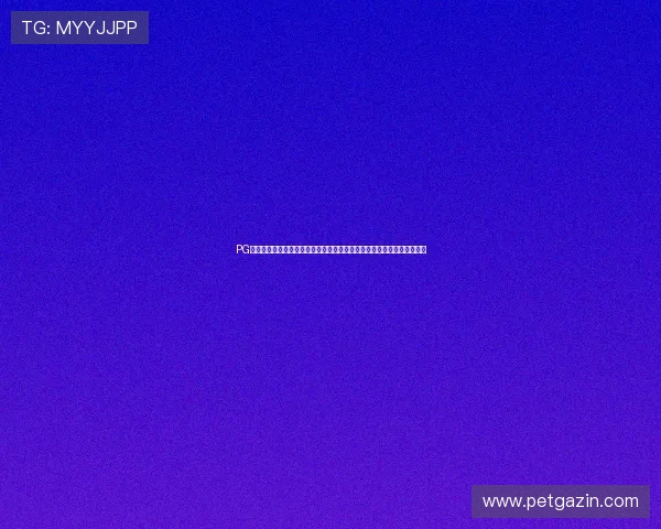 PG娱乐真人平台有哪些提供高清流畅世界杯直播的技术保障与用户体验分析 PG娱乐真人平台有哪些提供高清流畅世界杯直播的技术保障与用户体验分析